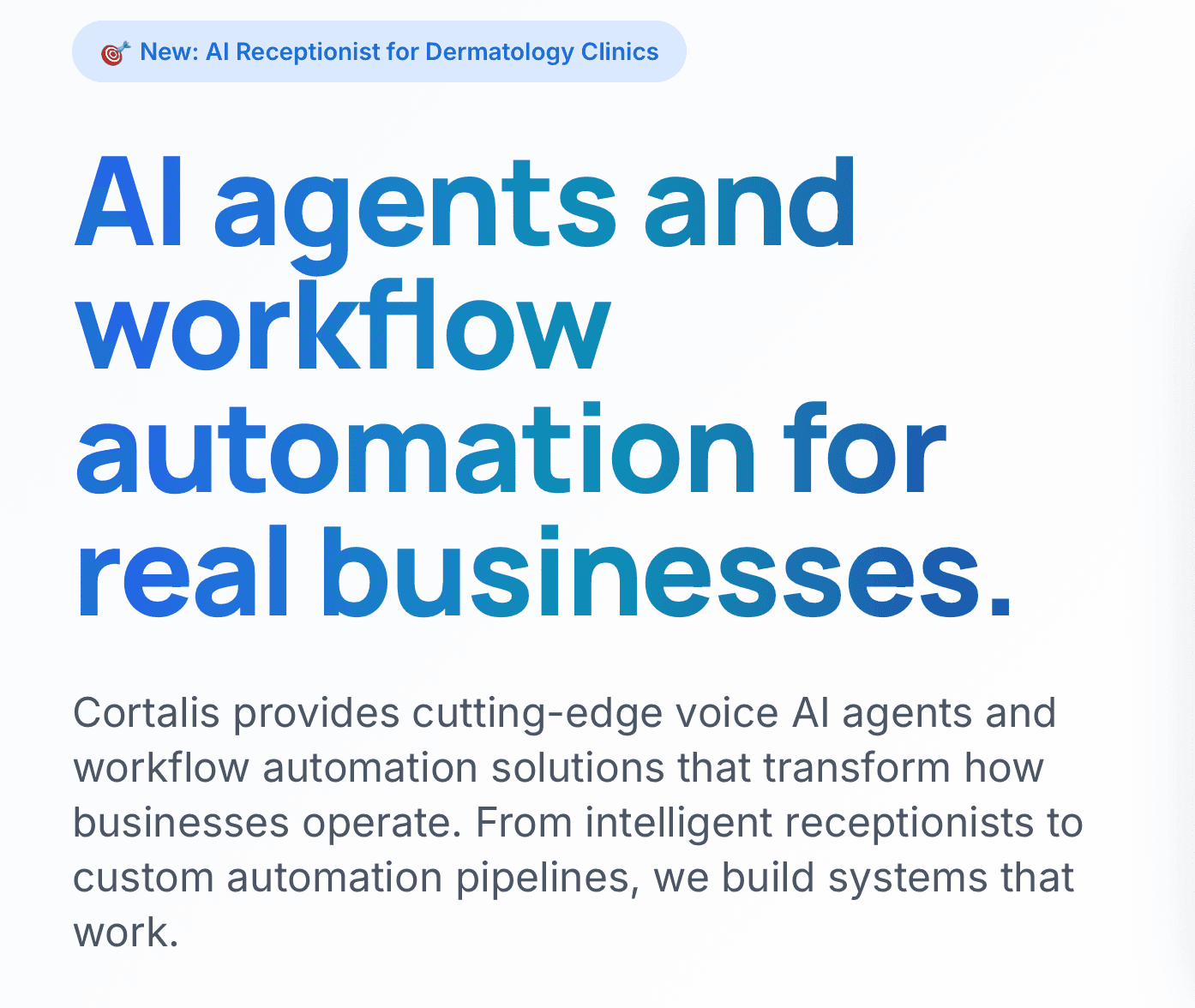 Alan's Dermatology Voice AI System screenshot 2